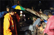 3 crushed to death as tree falls on car during Thunderstorm in Bengaluru